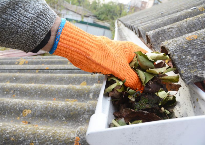 Clogged Gutter Clearing in Richmond, VA